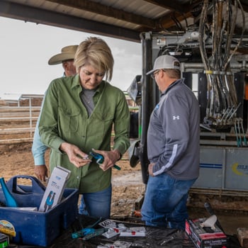 Thomas Angus Thomas Angus