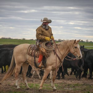 Lee Marriott Performance Beef customer in Missouri.