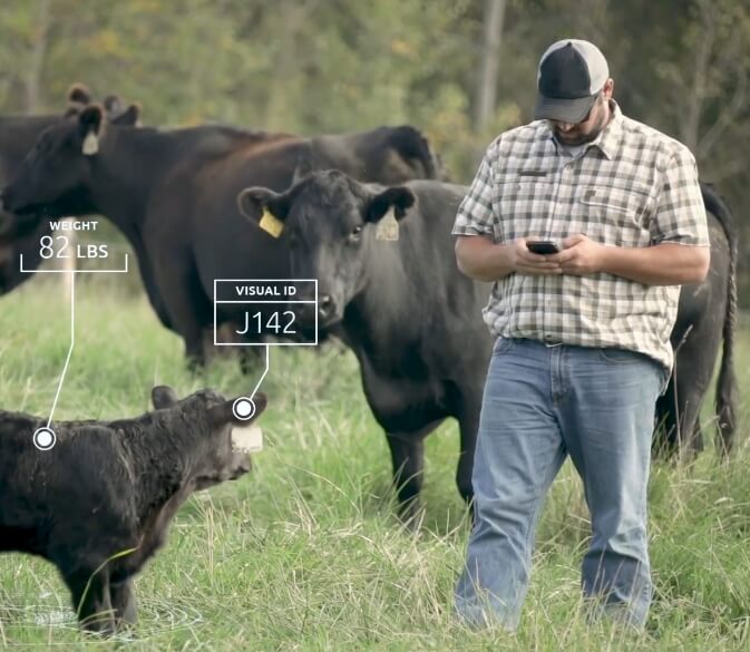Easily capture data