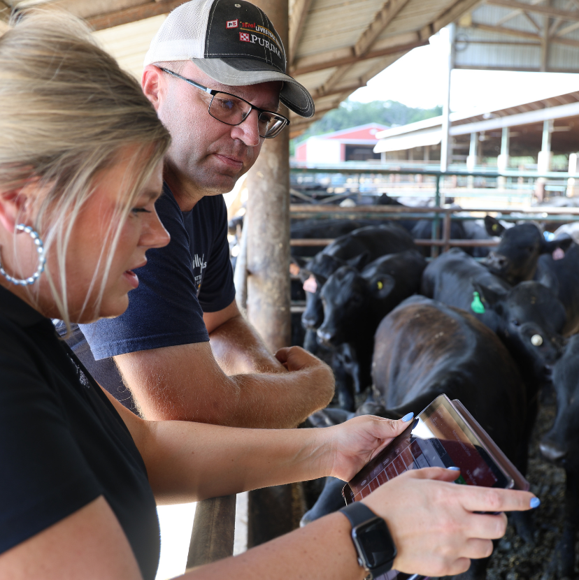 Performance Beef customer Dave Lidy creating invoices with Performance Beef