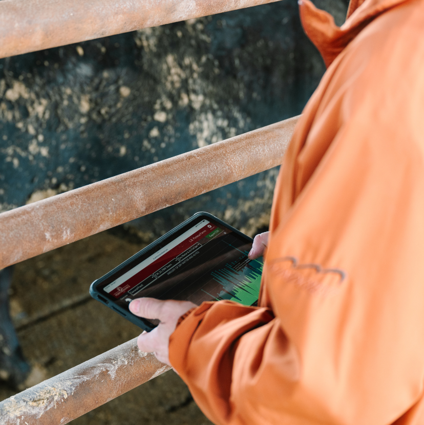 Six Performance Beef Features You Should Be Using