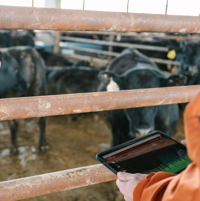 Six Performance Beef Features You Should Be Using